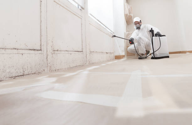 24/7 Emergency Mold Cleanup experts in Queen, PA